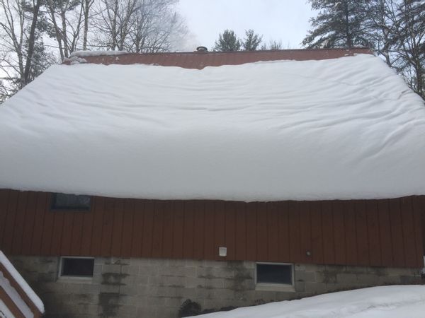 Quiet home in the woods
