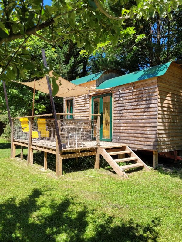 Tiny les pieds dans l'eau