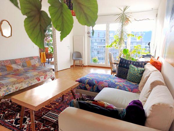 L'appartement d'Ambre