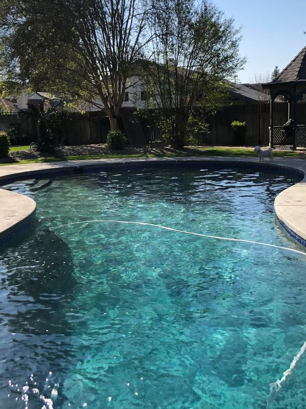 Our California Oasis