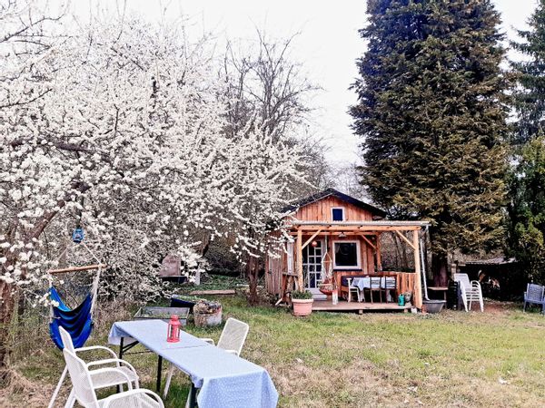 Lovely tiny house surrounded by beautiful nature
