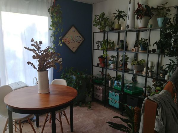 Casa di Kevin