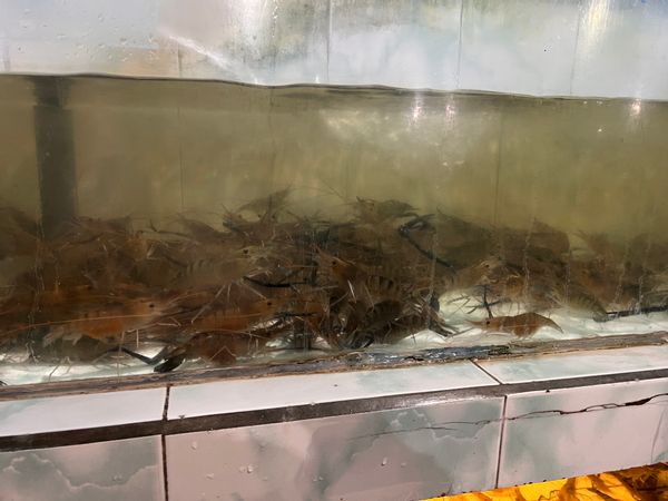 La maison de Valeriia