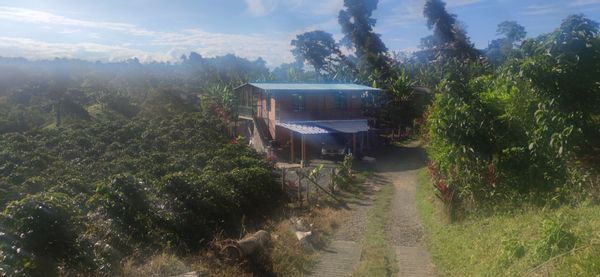 Casa de Paula giraldo