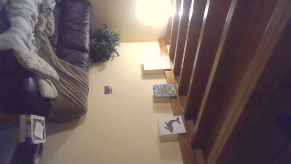 La maison de Zénaïde