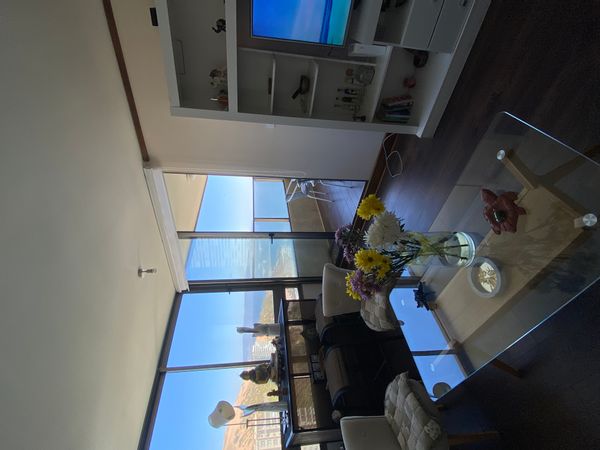 Rosaura's house