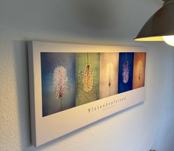 La maison de Daniela