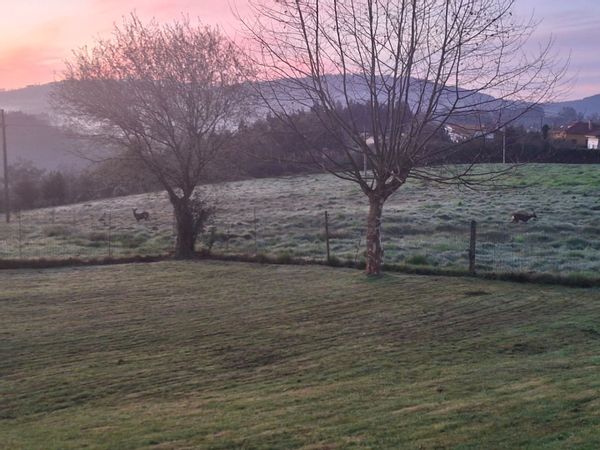 huis van Bea y Álvaro