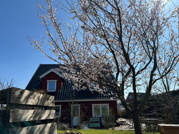 La maison de Jonathan