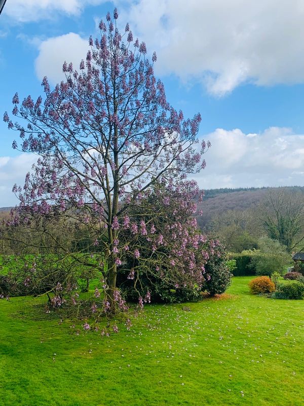 Milena & Lucasina kuća