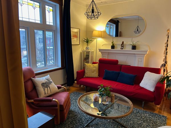 Bel appartement typique montréalais dans le quartier Rosemont