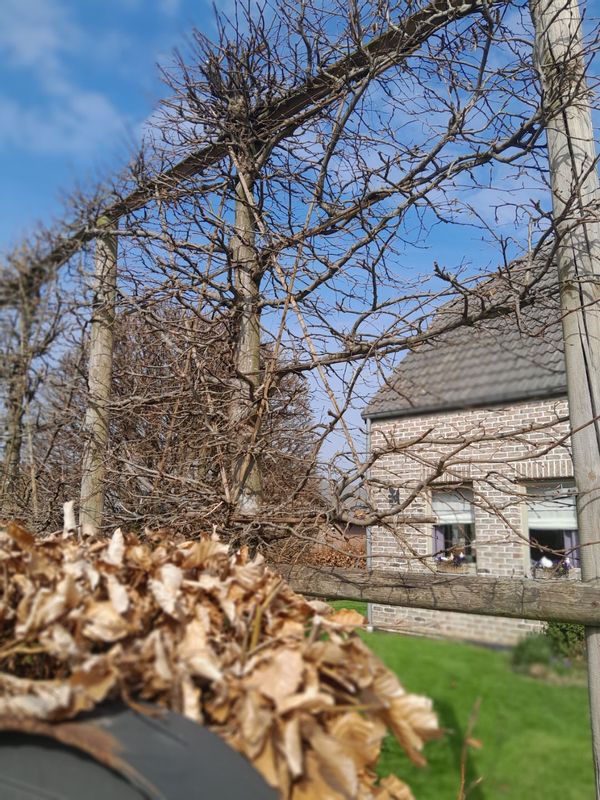 Marie-françoiseina kuća