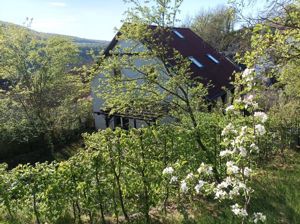 Casa di Louise