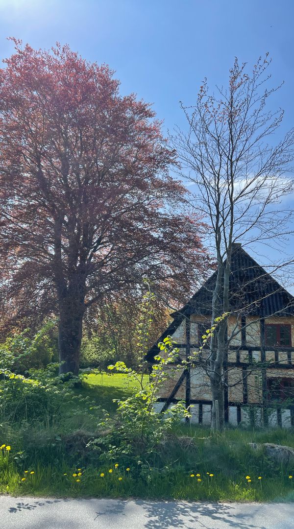 Casa di Tom
