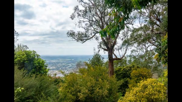 Family treetop home in Arthur’s seat