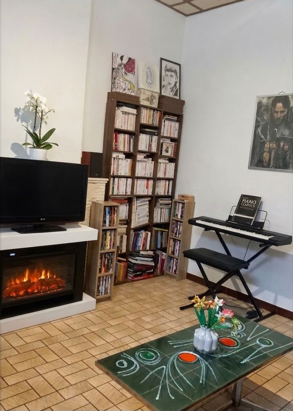 Salon cozy alternatif avec divan-lit