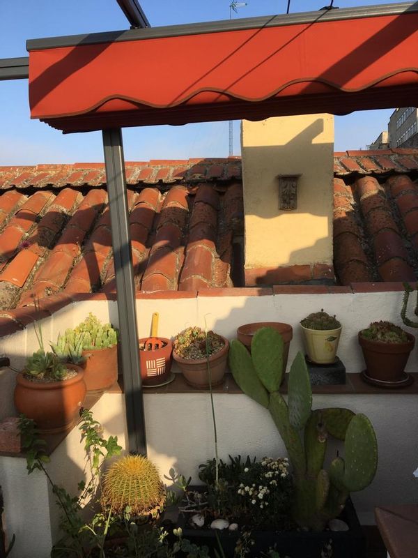 Francisco Javier's house