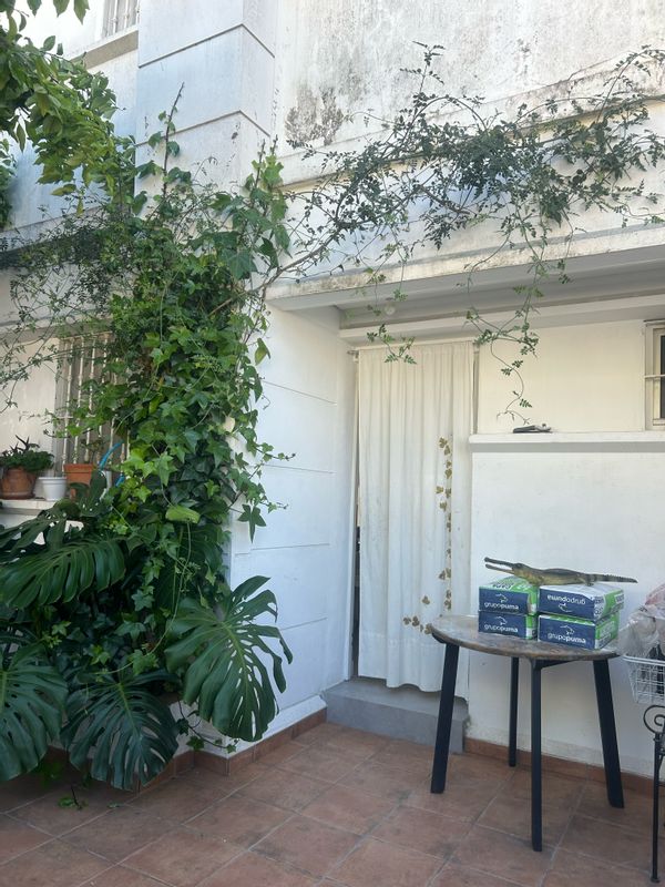 La casa de la calle Acedia