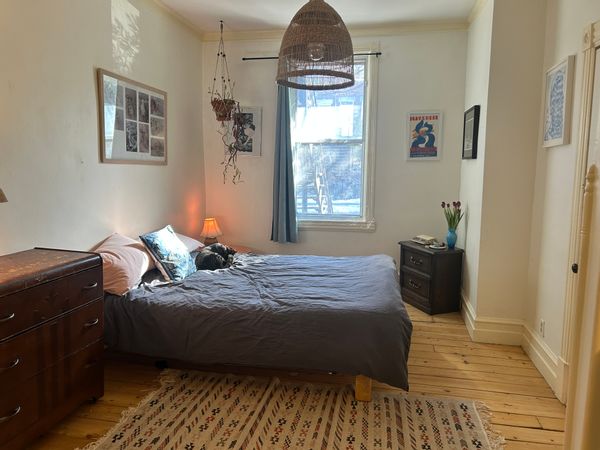 Charmant 7 1/2 au rez-de-chaussé du plateau Mont-Royal