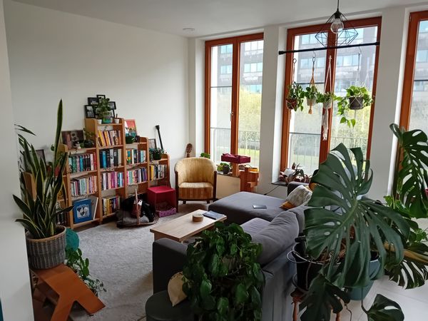 Large apartment viewing a park, in the centre of Ghent