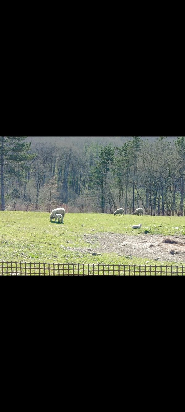 La maison de Marie-christine