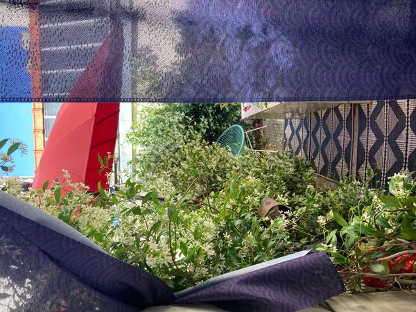 La maison de Céline est comme une petite maison, en plein coeur de Paris,  en effet !