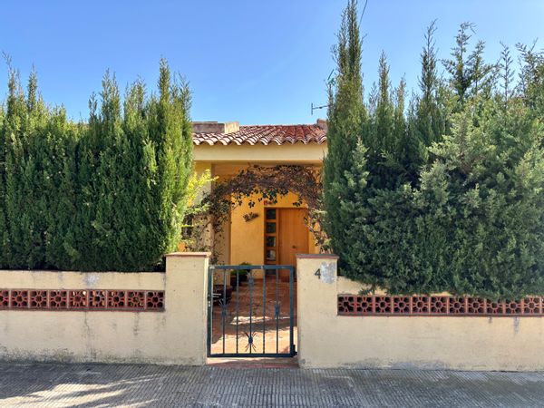 Albert, Irina, Pol i Betina kuća