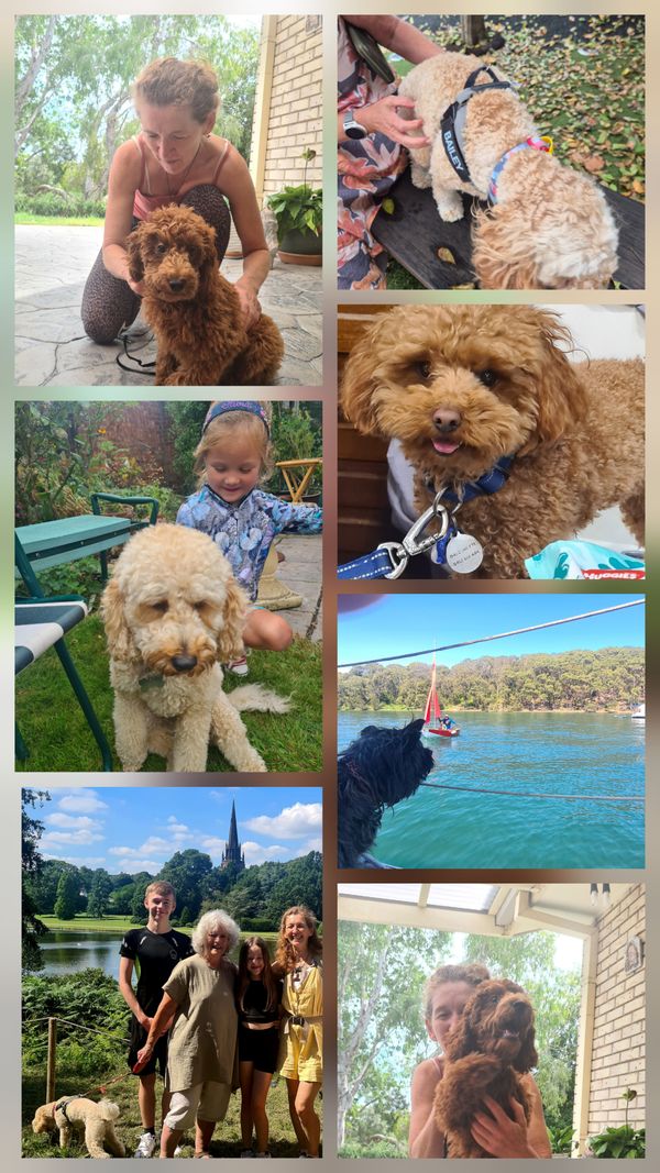 huis van Joe and Isabel