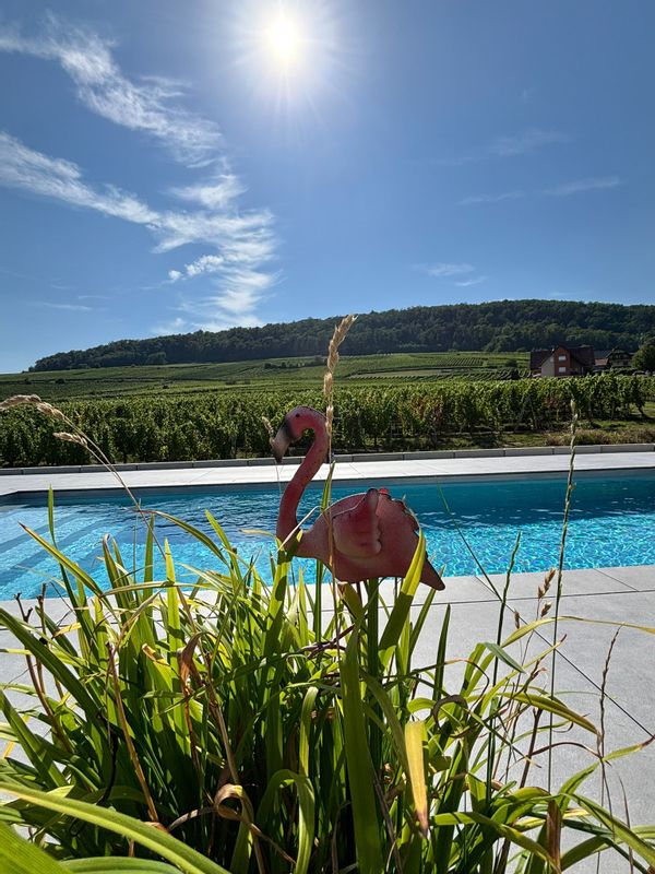 Domaine au coeur des vignes chez Stéphanie et Jean-François