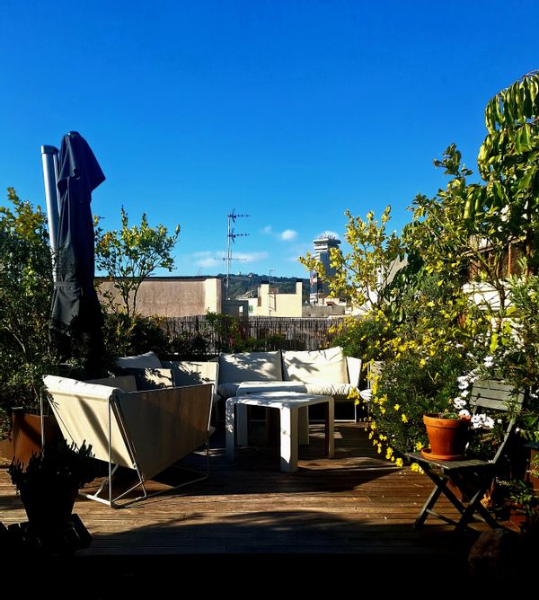 Atico soleado todo el día. Terraza 100 m2 totalmente ajardinada. Excelentes vistas. Barrio gótico.