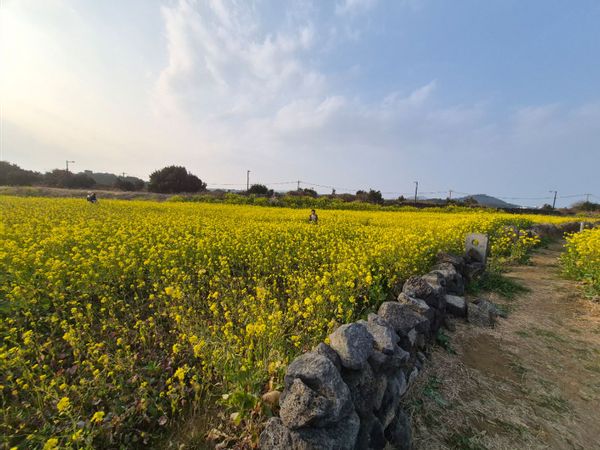 Casa di 샘