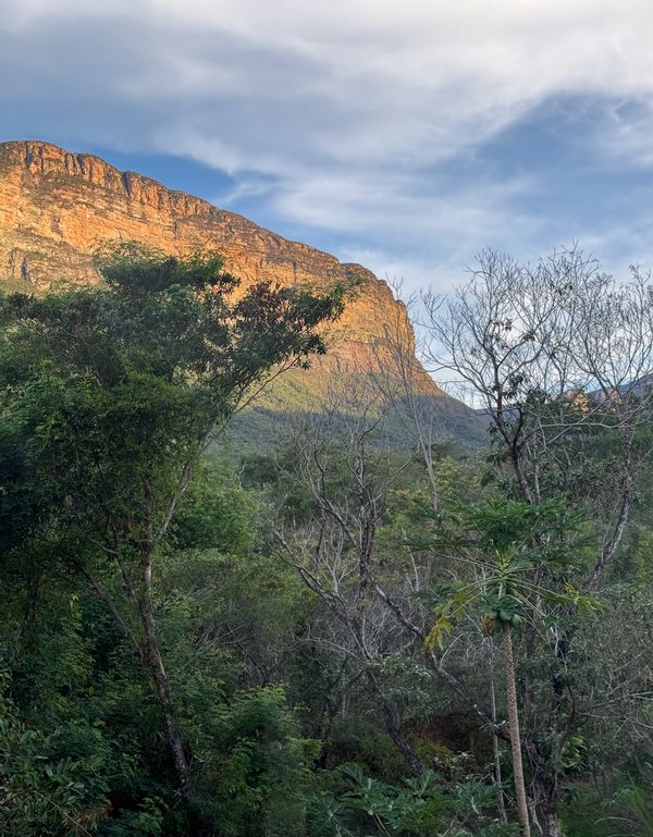 Raquel Minako & Ron Orenina kuća