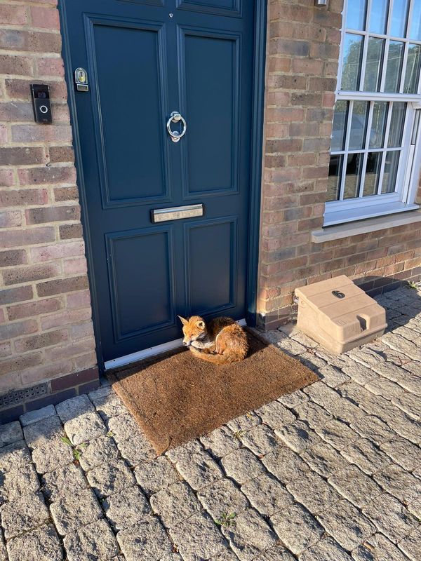 Kathrin&Kamen s Haus