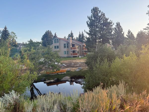 MAMMOTH CREEK CONDO.   FOUR SEASON FUN.  EPIC VIEWS/CREEK/BIKE PATH and more