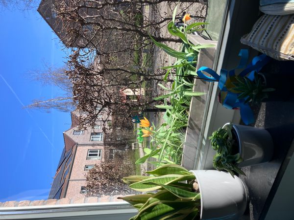 Myriam and Gaelina kuća