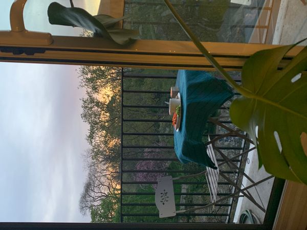 Aliénor & Martino's house