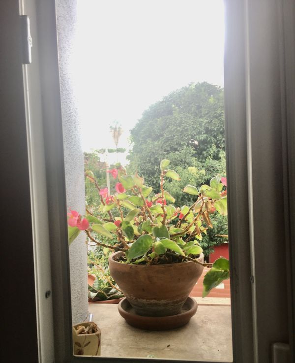 casa a Castelbuono, Italia