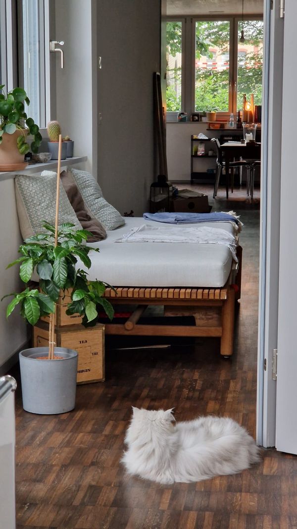 Evdokia and Michael s Haus