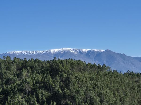 La maison de Guilherme