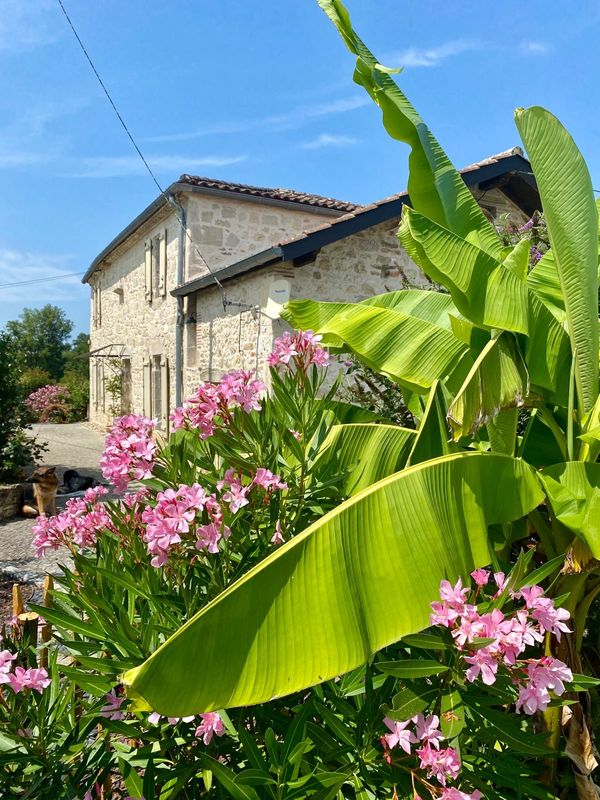 Maison en pierre sur une propriété de 5000m2 au cœur du Lot et Garonne
