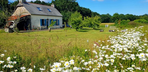 "Les matins céladon"