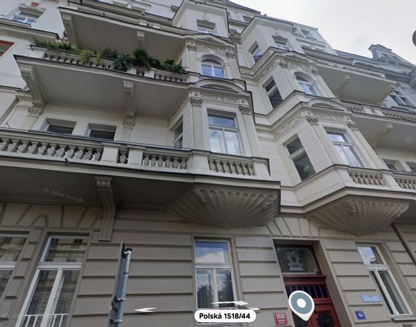 Anne Sophie's house, a very large 1 br flat in the heart of Vinohrady’s district in Prague