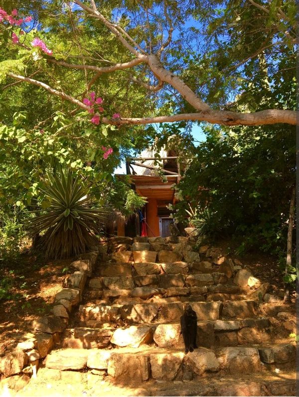 Casa de las Mariposas