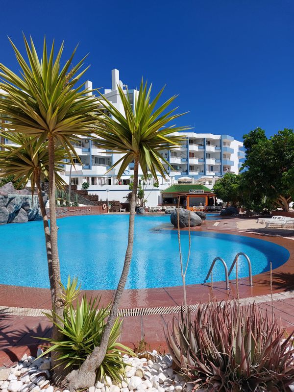 Studio apartment - South of Tenerife (Golf Del Sur)