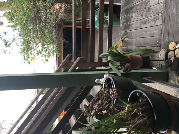 Quiet apartment near Lake Merritt with access to city life