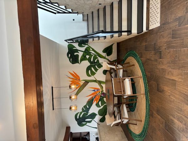 Sunny San Miguel home with great views and a fluffy cat