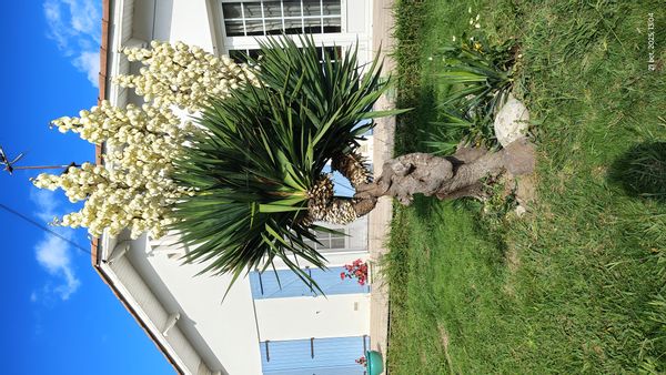 Casa de SABINE
