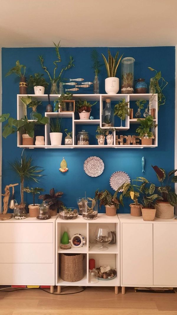 Casa de Valentina