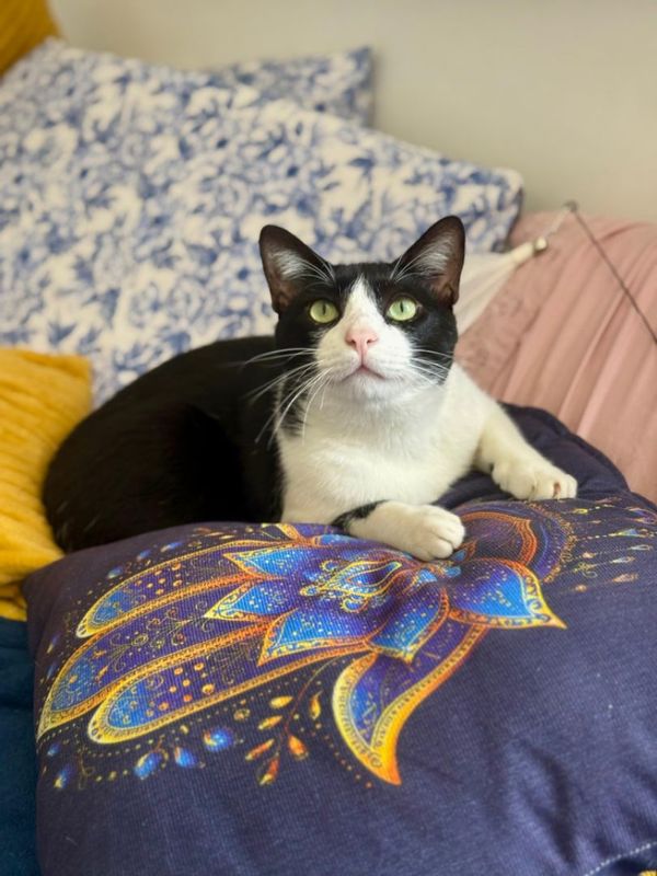 La maison de Mariana (Marry)