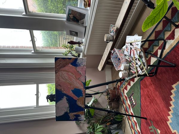 Sophie's house